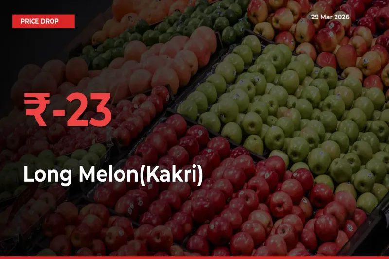 23.37% Drop in Long Melon(Kakri) Prices – Mandi Sees Sudden Fall
