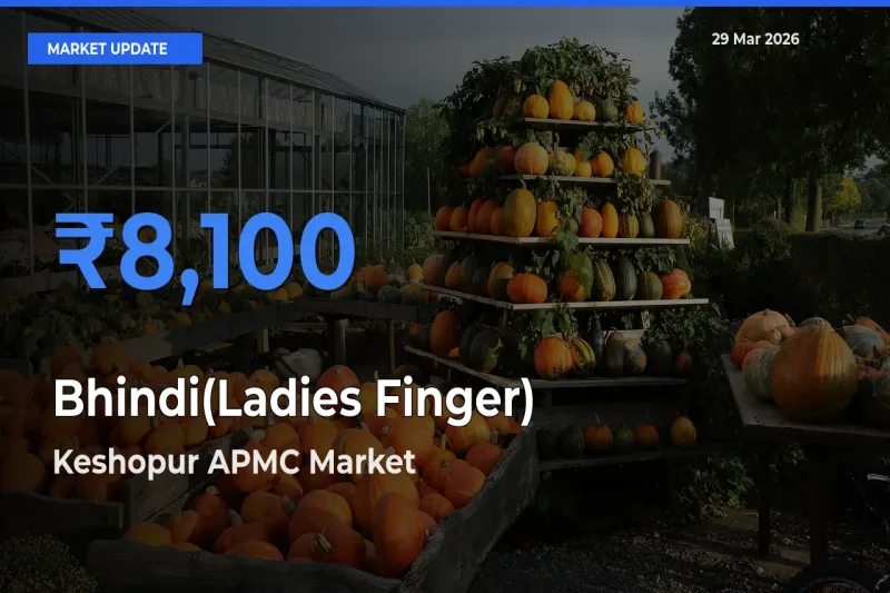 Keshopur APMC Tops Bhindi(Ladies Finger) Rates – March 29 Market Update