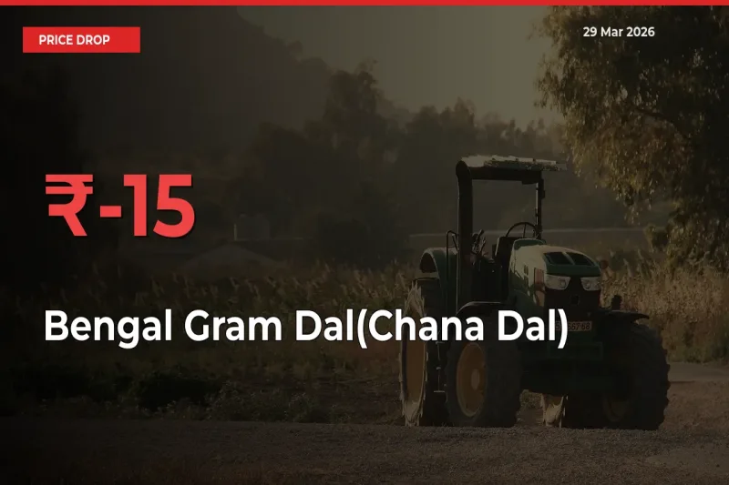 Sudden Shock! Bengal Gram Dal(Chana Dal) Drops 15.12% in 24 Hours at Top Mandis
