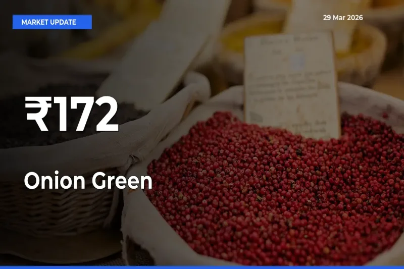 Onion Green Trend Strengthens Across Major Mandis