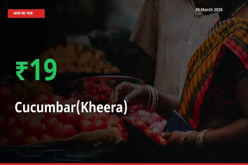 30 March अपडेट: खीरा के दाम मंडी में 18.57% उछले