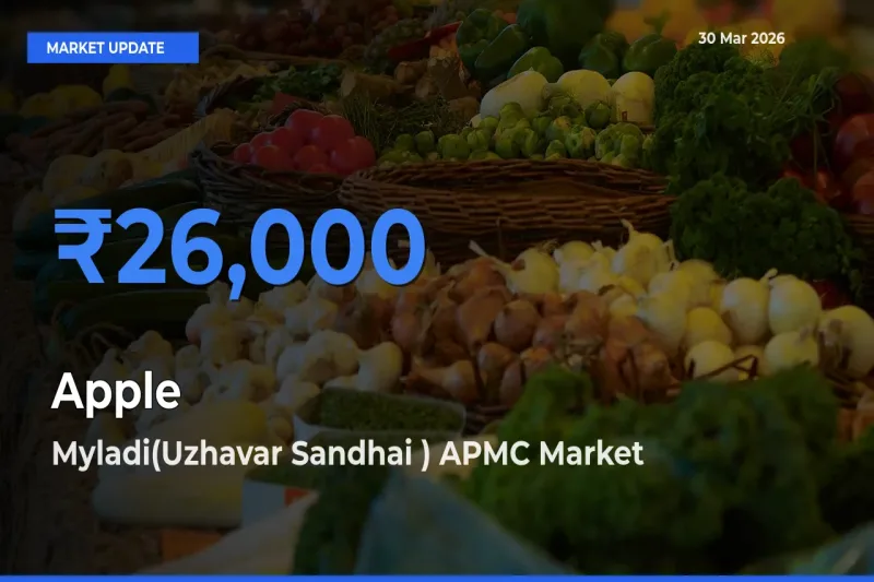 Myladi(Uzhavar Sandhai ) APMC Records Highest ₹26,000 Rate for Apple