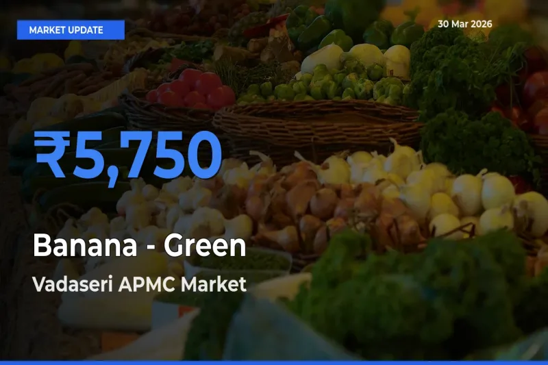 Vadaseri APMC Records Highest ₹5,750 Rate for Banana - Green