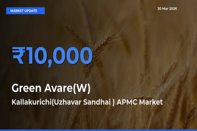 Kallakurichi(Uzhavar Sandhai ) APMC Tops Green Avare(W) Mandi Rates Today