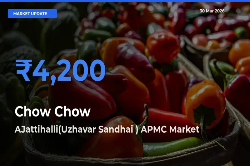 Chow Chow Mandi Rate Today: AJattihalli(Uzhavar Sandhai ) APMC Tops the List