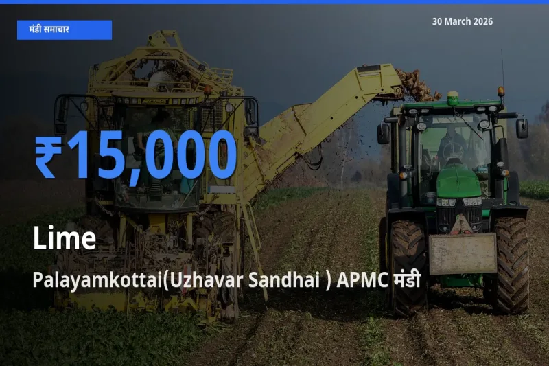 आज का मंडी भाव: नींबू के सबसे ज़्यादा दाम Palayamkottai(Uzhavar Sandhai ) APMC में