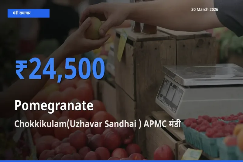 बाज़ार संकेत: Chokkikulam(Uzhavar Sandhai ) APMC बना अनार के लिए आज की टॉप मंडी