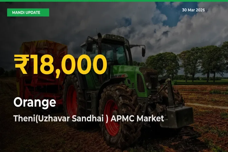 Farmers Benefit as Orange Rate Touches New High in Theni(Uzhavar Sandhai ) APMC