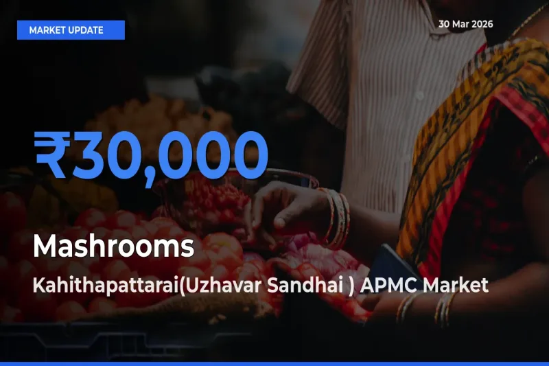 Kahithapattarai(Uzhavar Sandhai ) APMC Emerges as Top Mandi for Mashrooms Prices Today