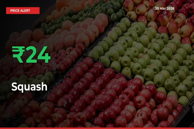 This Mandi Records 23.53% Jump in Squash Prices