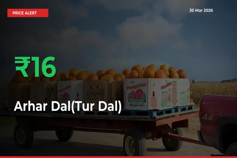Why Arhar Dal(Tur Dal) Prices Rose 15.88% in a Day at Mandis