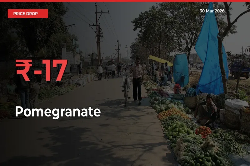 This Mandi Records 17.19% Fall in Pomegranate Prices