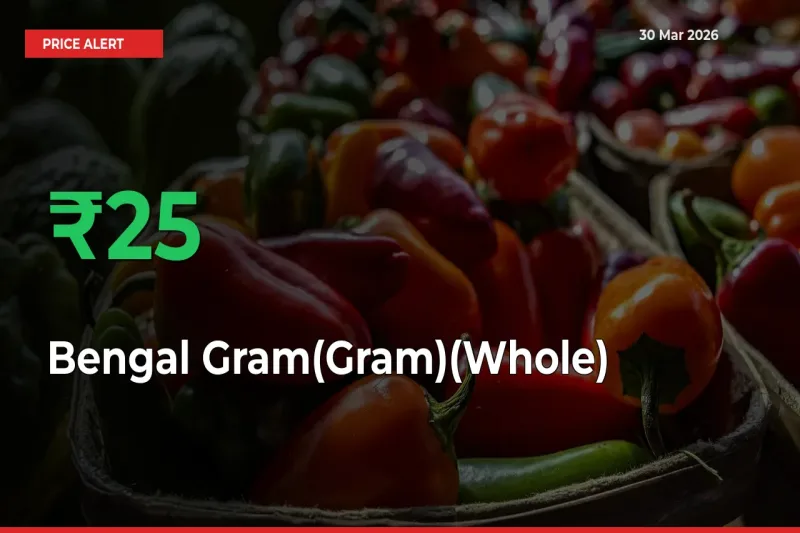Sudden 24.69% Rally in Bengal Gram(Gram)(Whole) Prices Across Mandis
