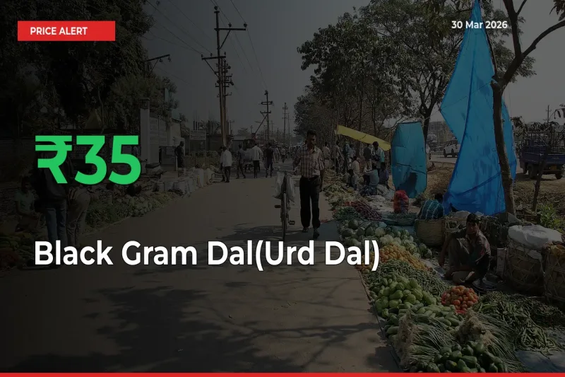 Sharp Jump! Black Gram Dal(Urd Dal) Prices Climb 35.39% in 24 Hours at Key Mandis