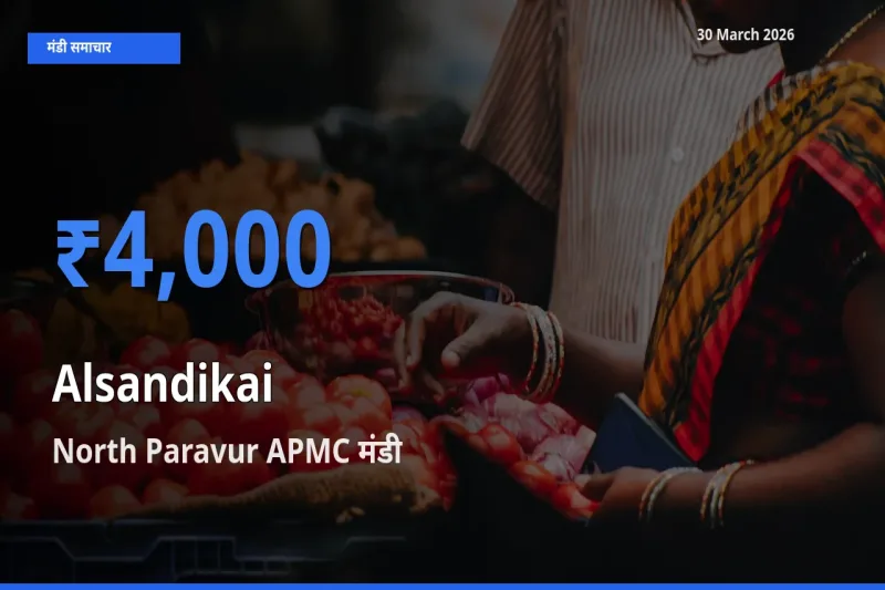 आज का मंडी भाव: लोबिया (चावली) की फली के सबसे ज़्यादा दाम North Paravur APMC में