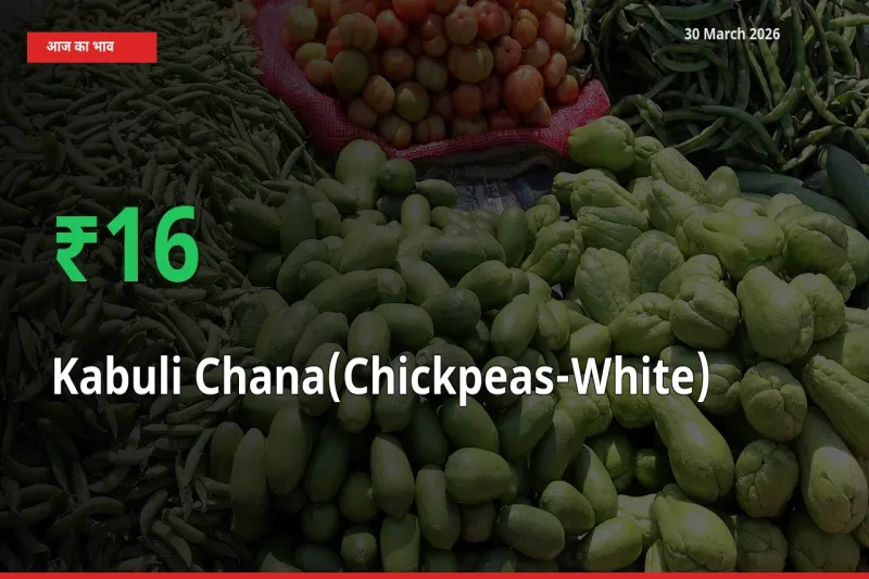 अचानक तेजी! मंडी में काबुली चना के दाम 15.8% चढ़े