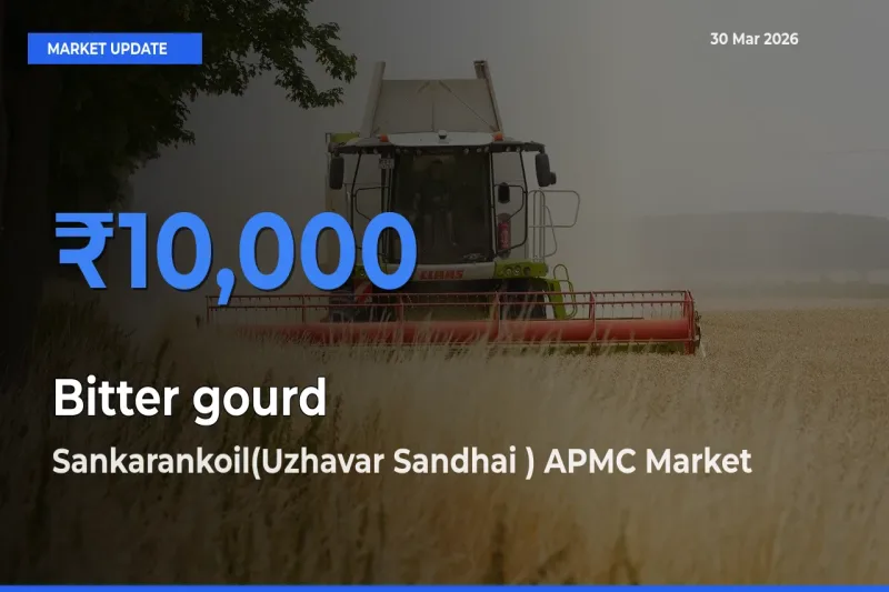 Sankarankoil(Uzhavar Sandhai ) APMC Offers ₹10,000 – Highest Bitter gourd Rate Today