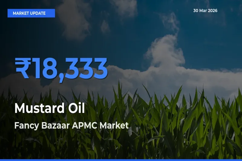 Fancy Bazaar APMC Emerges as Top Mandi for Mustard Oil Prices Today