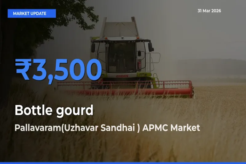 Bottle gourd Mandi Rate Today: Pallavaram(Uzhavar Sandhai ) APMC Tops the List