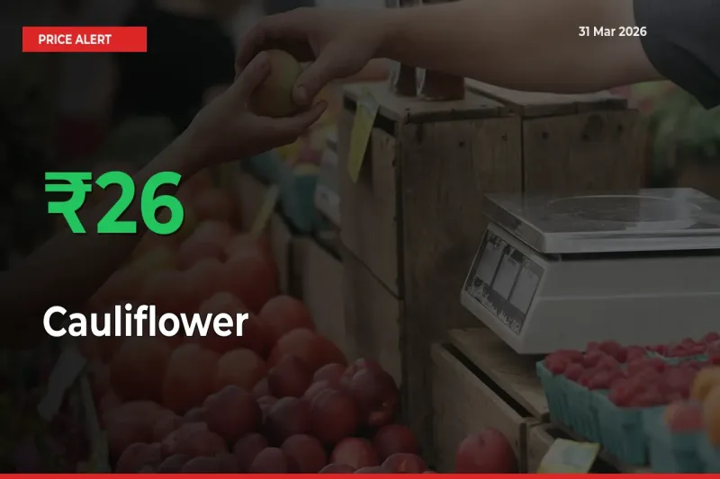 Big Rally! Cauliflower Climbs 26.16% in 24 Hours at Top Mandis