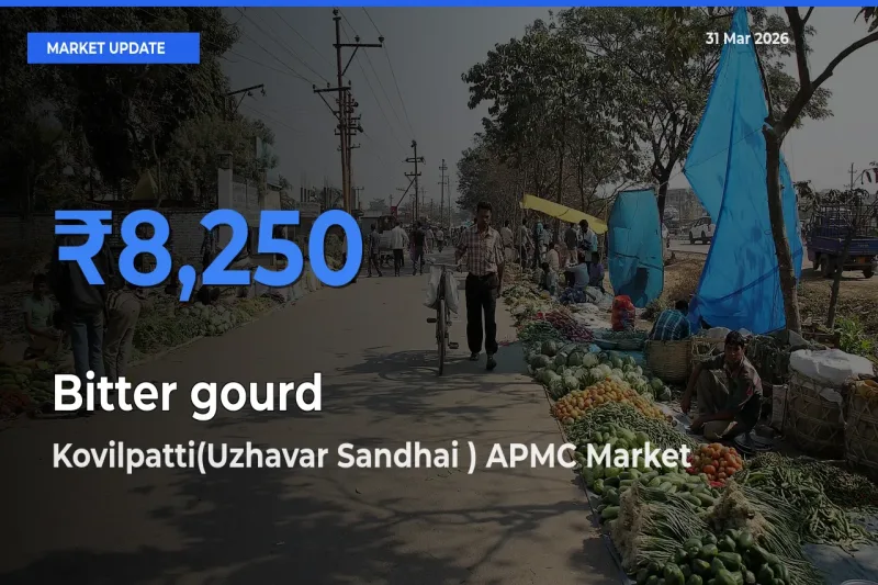Bitter gourd Mandi Rate Today: Kovilpatti(Uzhavar Sandhai ) APMC Tops the List