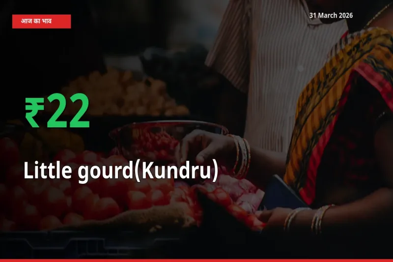 31 March अपडेट: कुंदरू (टिंडा तोरई) के दाम मंडी में 21.53% उछले