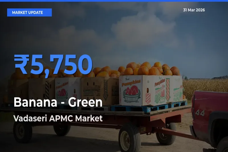 Vadaseri APMC Tops Banana - Green Mandi Rates Today