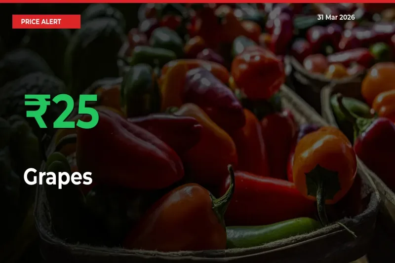 Grapes Prices Rise 25.39% in a Day at Major Mandis