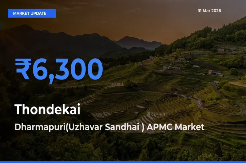 Dharmapuri(Uzhavar Sandhai ) APMC Tops Thondekai Rates – March 31 Market Update
