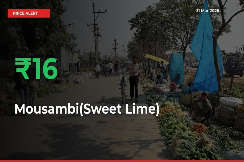 Mousambi(Sweet Lime) Prices Rise 16.47% in a Day at Major Mandis