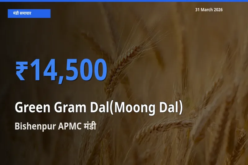आज मूंग दाल के सबसे ज़्यादा दाम Bishenpur APMC मंडी में दर्ज