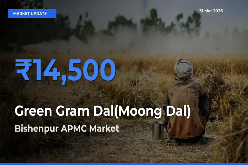 Bishenpur APMC Records Highest ₹14,500 Rate for Green Gram Dal(Moong Dal)