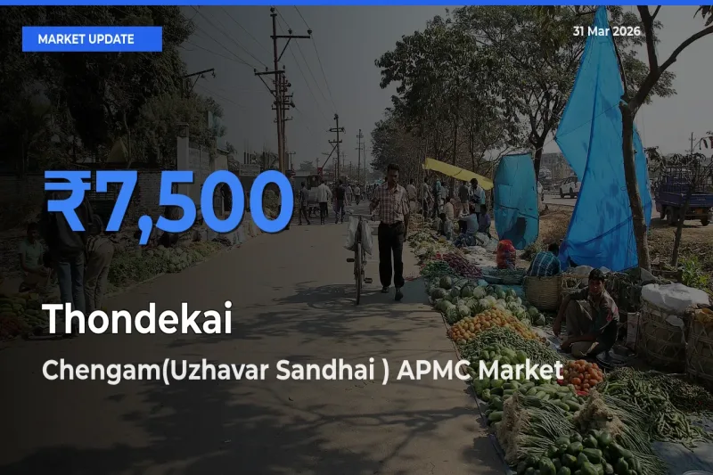 Chengam(Uzhavar Sandhai ) APMC Tops Thondekai Mandi Rates Today