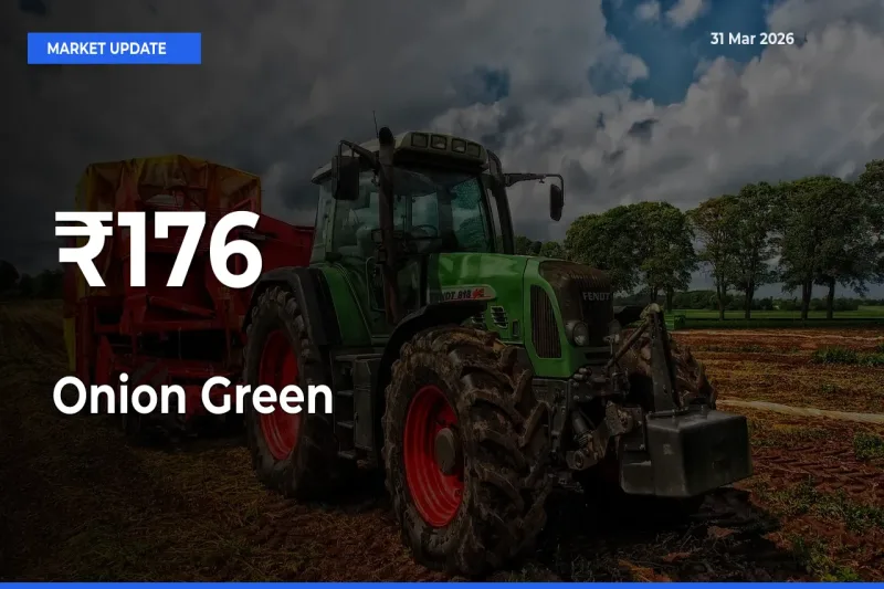 Strong Trend in Onion Green Rates Across Multiple Mandis – What It Means for Traders