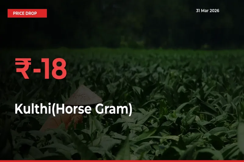 Kulthi(Horse Gram) Mandi Rate Today: Prices Fall 18.25% at Market