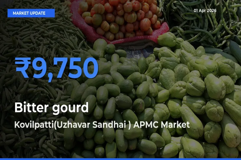 Kovilpatti(Uzhavar Sandhai ) APMC Tops Bitter gourd Mandi Rates Today