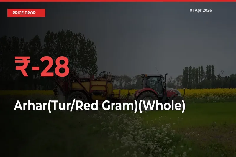 This Mandi Records 27.74% Fall in Arhar(Tur/Red Gram)(Whole) Prices
