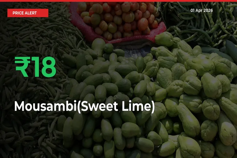 18.38% Spike in Mousambi(Sweet Lime) Prices – Mandi Sees Sudden Rally