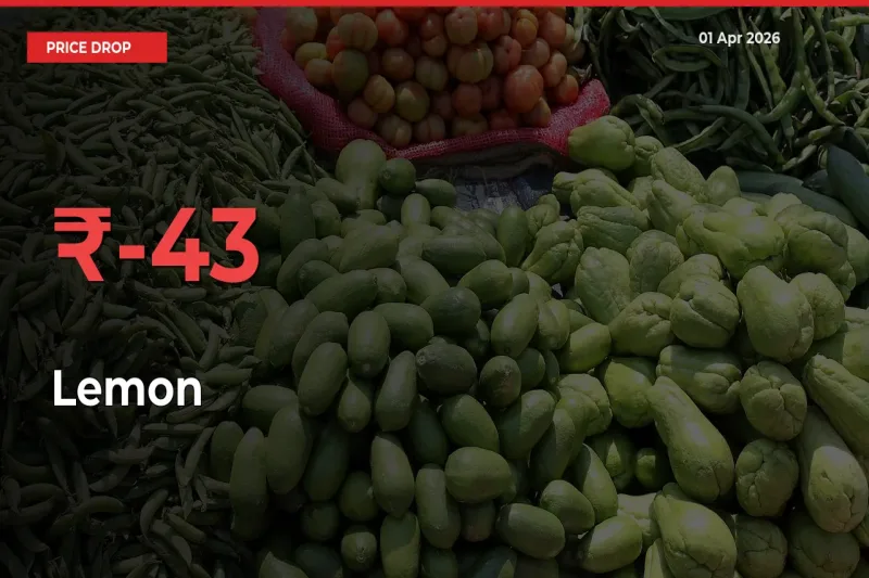 Lemon Prices Drop 42.72% – April 01 Market Update from Mandis