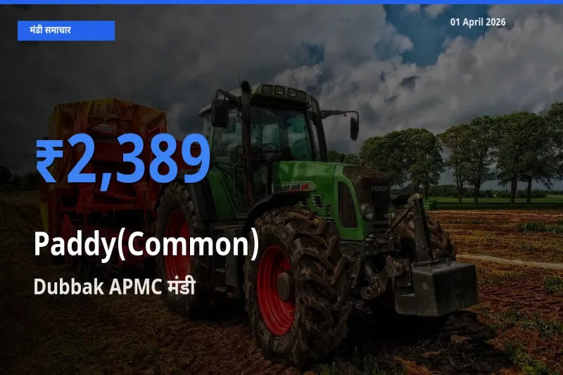 आज धान (सामान्य) के सबसे ज़्यादा दाम Dubbak APMC मंडी में दर्ज