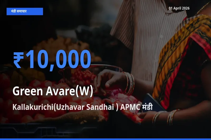 किसानों की पसंद बना Kallakurichi(Uzhavar Sandhai ) APMC, हरी सेम के सबसे अच्छे दाम