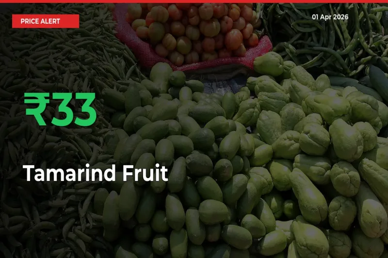 Sudden 32.83% Rally in Tamarind Fruit Prices Across Mandis