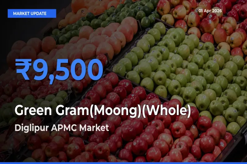 Green Gram(Moong)(Whole) Mandi Rate Today: Diglipur APMC Tops the List