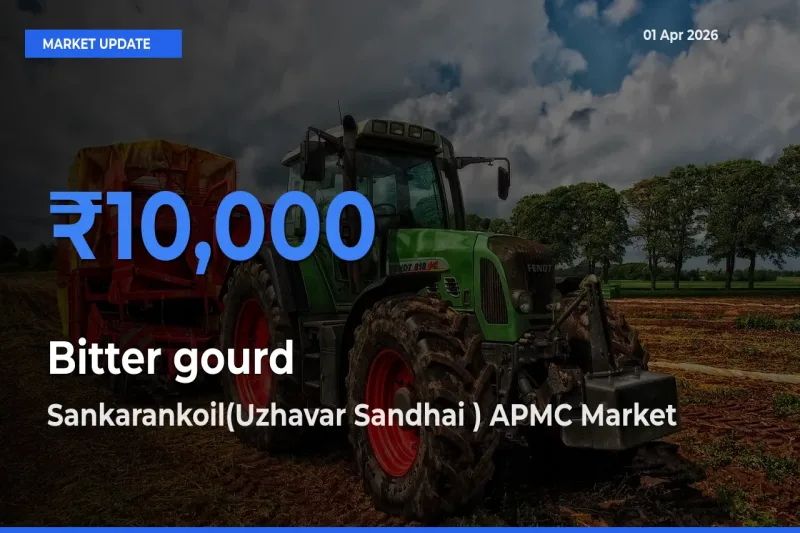 Sankarankoil(Uzhavar Sandhai ) APMC Emerges as Top Mandi for Bitter gourd Prices Today