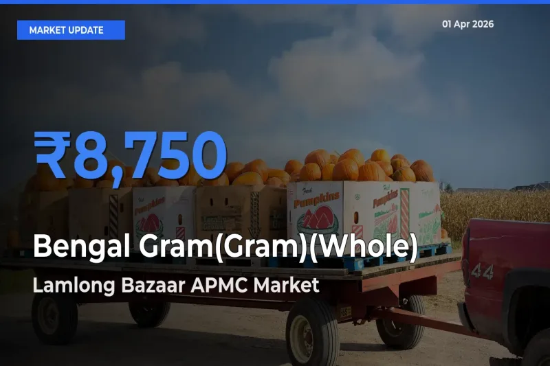 Lamlong Bazaar APMC Tops Bengal Gram(Gram)(Whole) Mandi Rates Today
