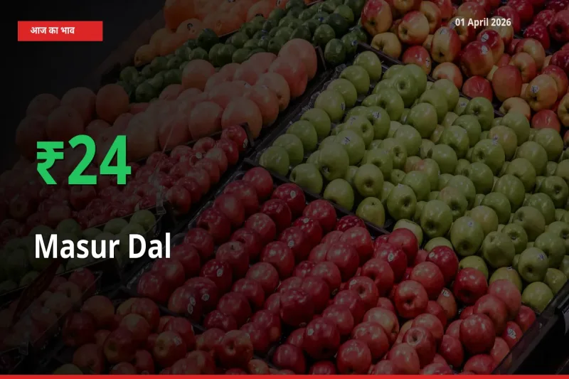 01 April अपडेट: मसूर दाल के दाम मंडी में 23.73% उछले