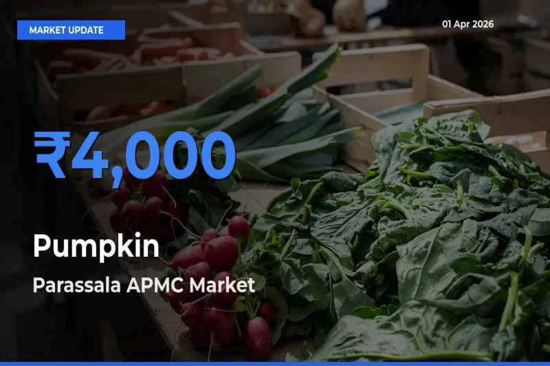 Parassala APMC Leads as Top Mandi for Pumpkin Prices