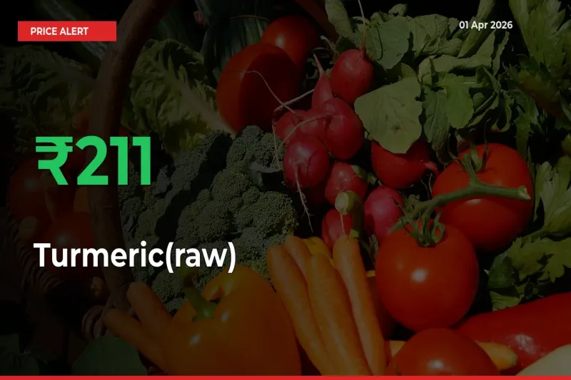 211.11% Spike in Turmeric(raw) Prices – Mandi Sees Sudden Rally
