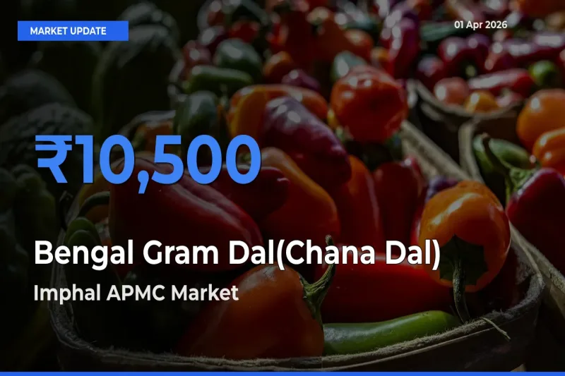 Imphal APMC Emerges as Top Mandi for Bengal Gram Dal(Chana Dal) Prices Today