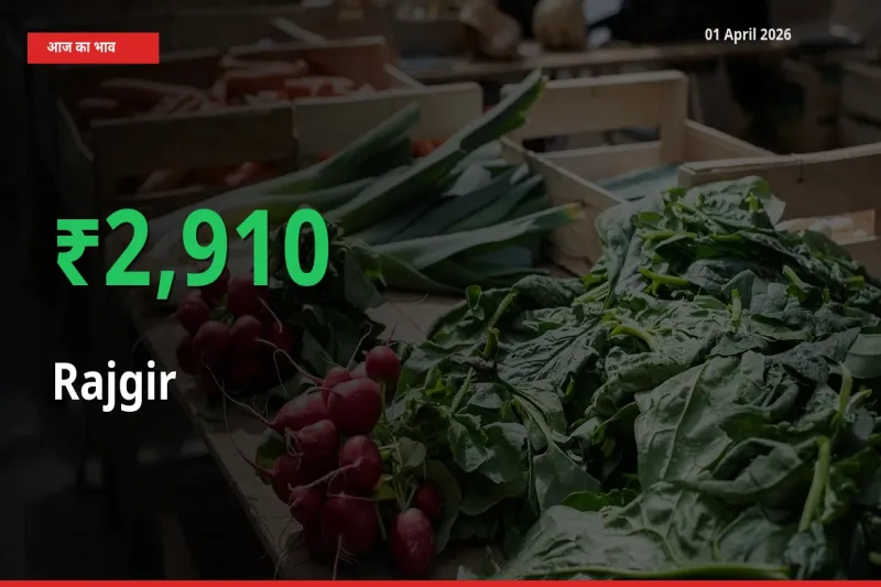 01 April अपडेट: राजगीर के दाम मंडी में 2909.84% उछले